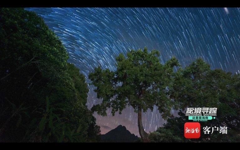 奔跑的兔子
